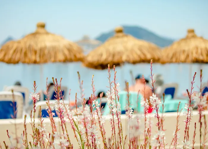 La Blanche & Semesteranläggning (resort) 5*